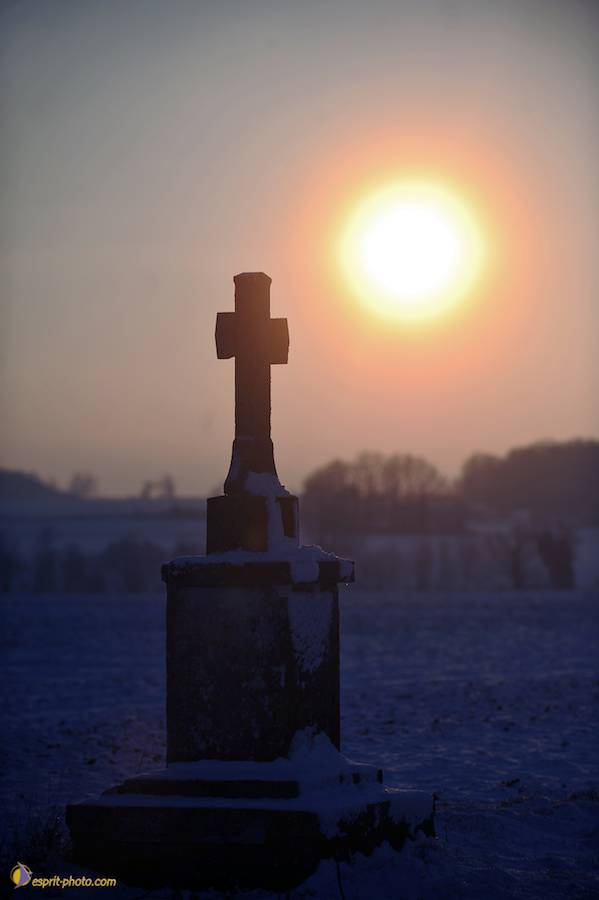 Nom de l'image : D30041947_1_(c)Norbert-JUNG — Description :